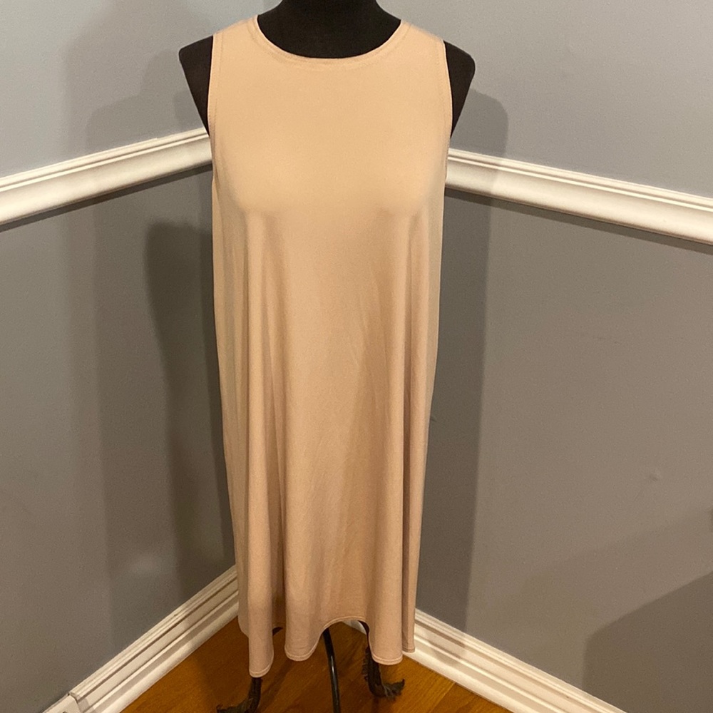 Marie Saint Pierre nude tunic dress